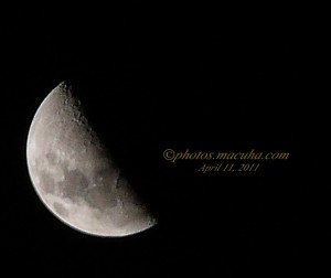 Moon Shot - First Quarter Moon