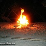 Bonfire At The Beach